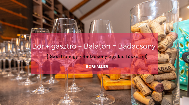 Bor + gasztro + Balaton = Badacsony